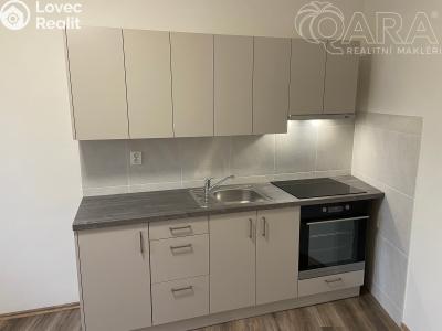 Pronájem bytu 2+1 Ivanovice na Hané č. 1