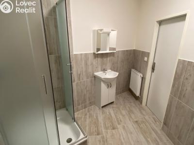 Pronájem bytu 2+1 Ivanovice na Hané č. 3
