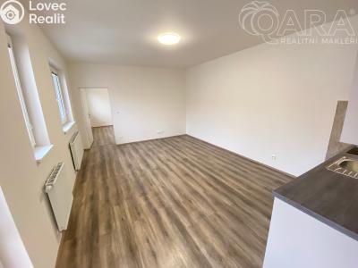 Pronájem bytu 2+1 Ivanovice na Hané č. 5