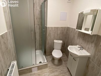 Pronájem bytu 2+1 Ivanovice na Hané č. 6