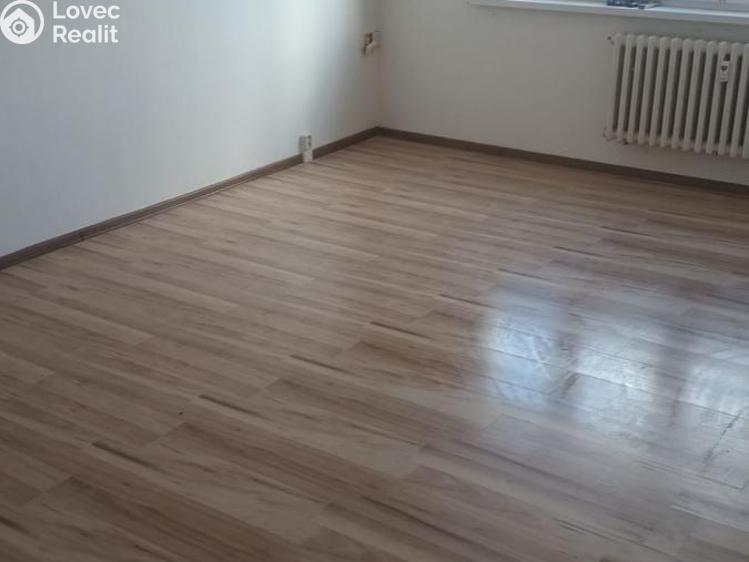 Pronájem bytu 1+1 Chomutov, Výletní 5258 č. 3