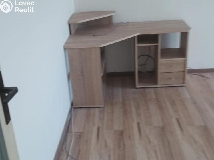 Pronájem bytu 1+1 Chomutov, Výletní 5258 č. 4