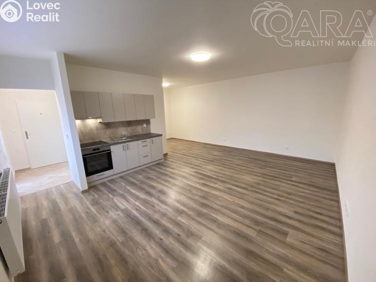 Pronájem bytu 1+KK Ivanovice na Hané č. 1