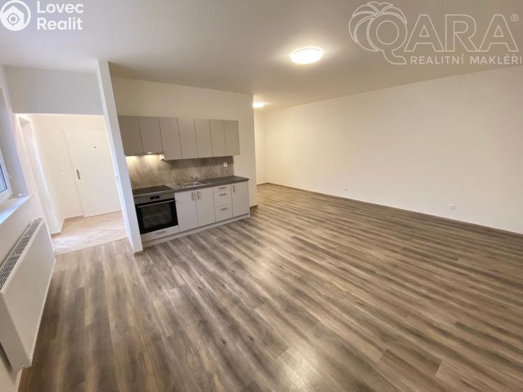 Pronájem bytu 1+KK Ivanovice na Hané č. 4