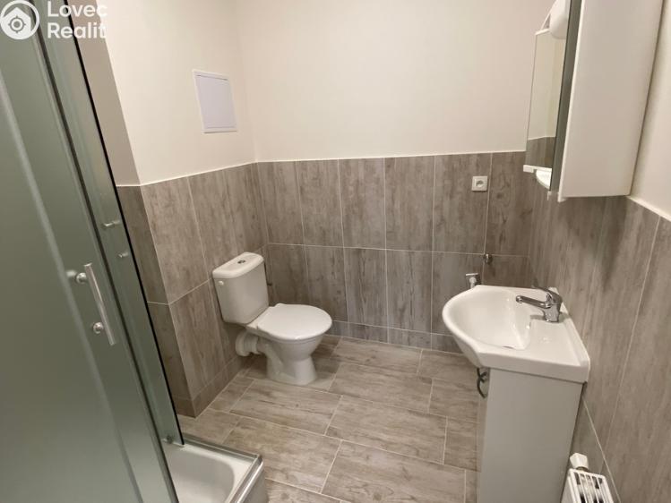 Pronájem bytu 1+KK Ivanovice na Hané č. 7