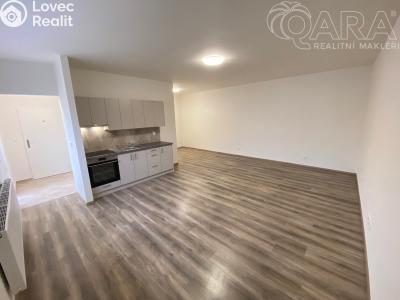 Pronájem bytu 1+KK Ivanovice na Hané č. 1