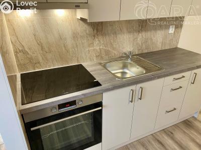 Pronájem bytu 1+KK Ivanovice na Hané č. 2