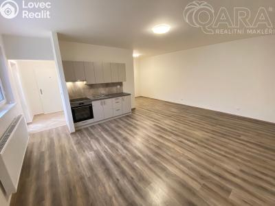 Pronájem bytu 1+KK Ivanovice na Hané č. 4