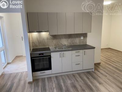 Pronájem bytu 1+KK Ivanovice na Hané č. 5