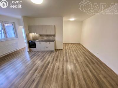 Pronájem bytu 1+KK Ivanovice na Hané č. 6