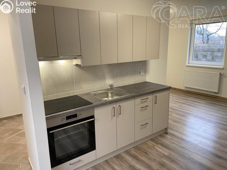 Pronájem bytu 1+KK Ivanovice na Hané č. 1