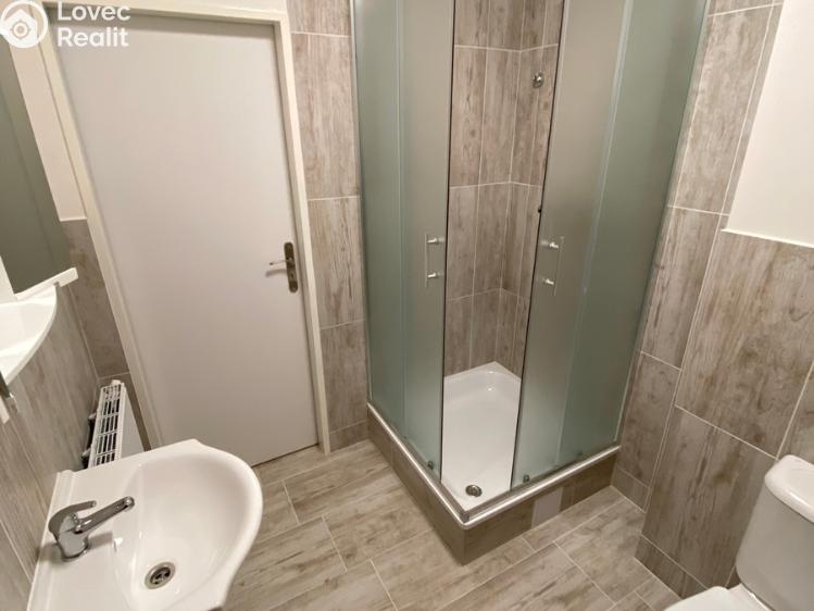 Pronájem bytu 1+KK Ivanovice na Hané č. 2