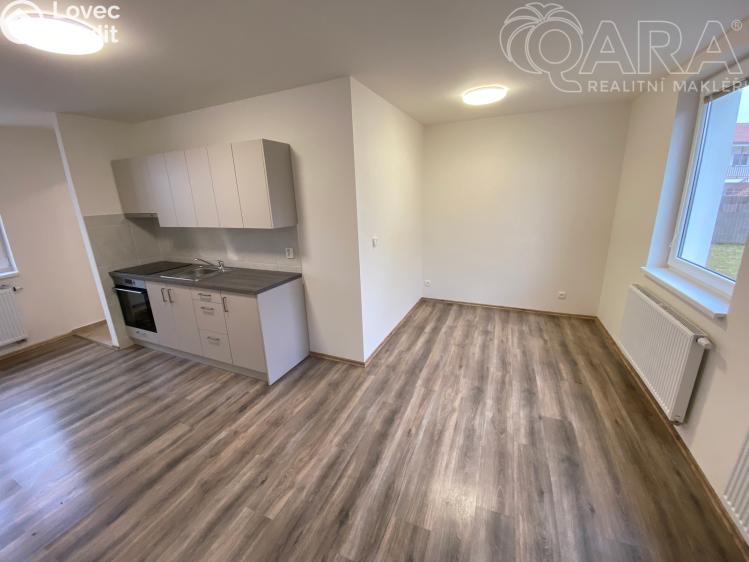 Pronájem bytu 1+KK Ivanovice na Hané č. 6