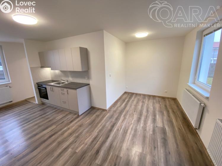 Pronájem bytu 1+KK Ivanovice na Hané č. 7