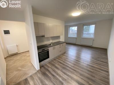 Pronájem bytu 1+KK Ivanovice na Hané č. 5