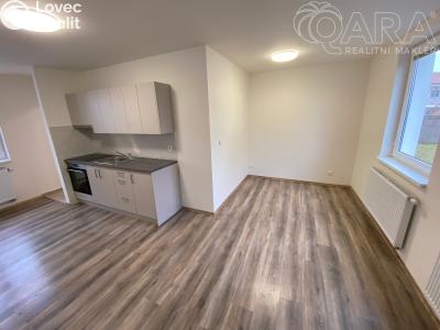 Pronájem bytu 1+KK Ivanovice na Hané č. 6