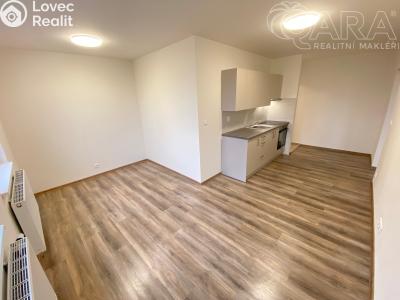 Pronájem bytu 2+KK Ivanovice na Hané č. 3