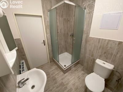 Pronájem bytu 3+KK Ivanovice na Hané č. 2