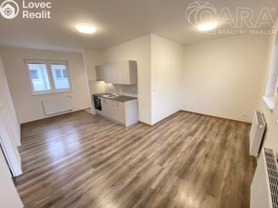 Pronájem bytu 3+KK Ivanovice na Hané č. 3