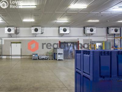 Pronájem skladového prostoru Hodonín č. 2