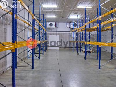 Pronájem skladového prostoru Hodonín č. 3