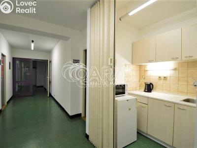 Rent office space Kosmonosy, Průmyslová 862 č. 6