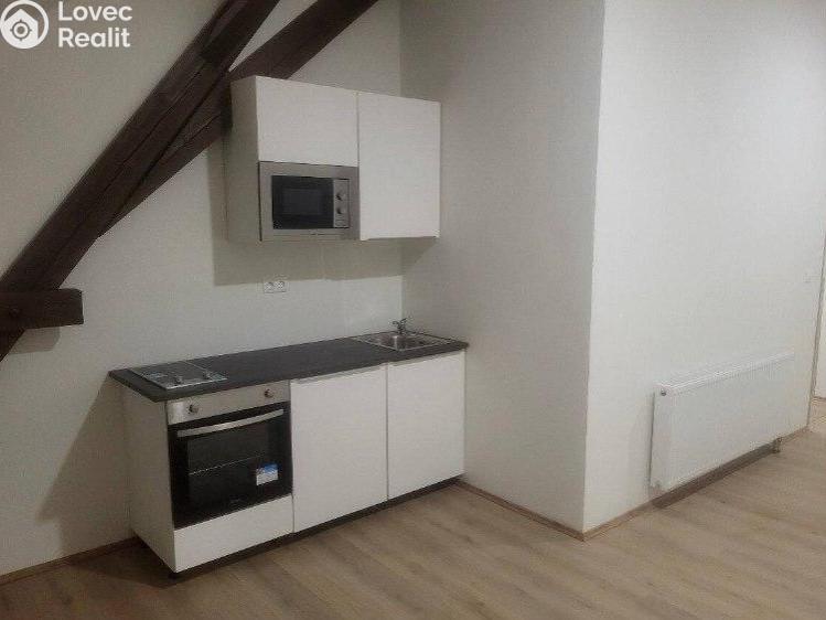 Pronájem bytu 1+KK Praha č. 1