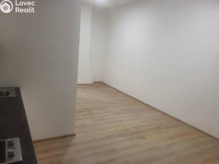 Pronájem bytu 1+KK Praha č. 4