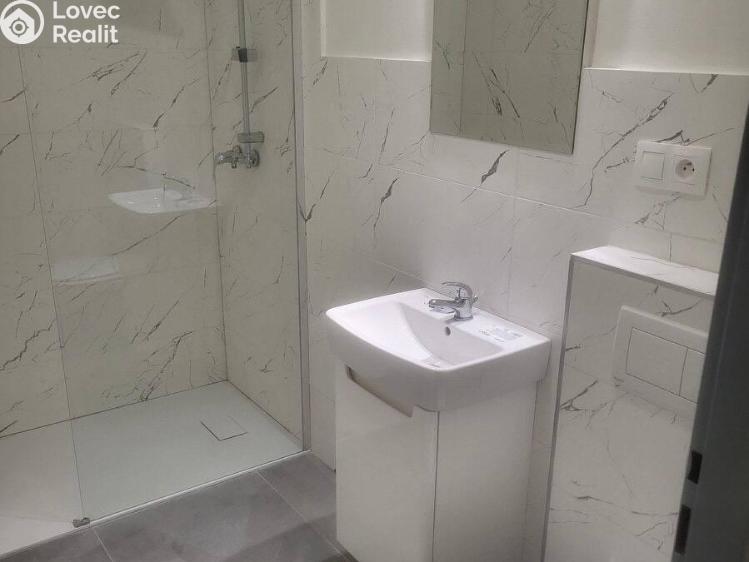 Pronájem bytu 1+KK Praha č. 7