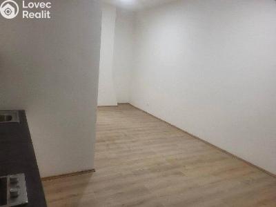 Pronájem bytu 1+KK Praha č. 4