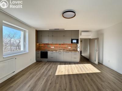Pronájem bytu 3+KK Hustopeče, Starovická č. 1