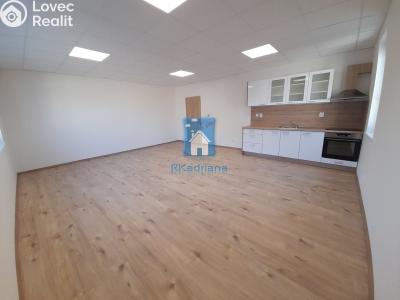 Pronájem bytu 2+KK Plzeň, Tisová č. 4