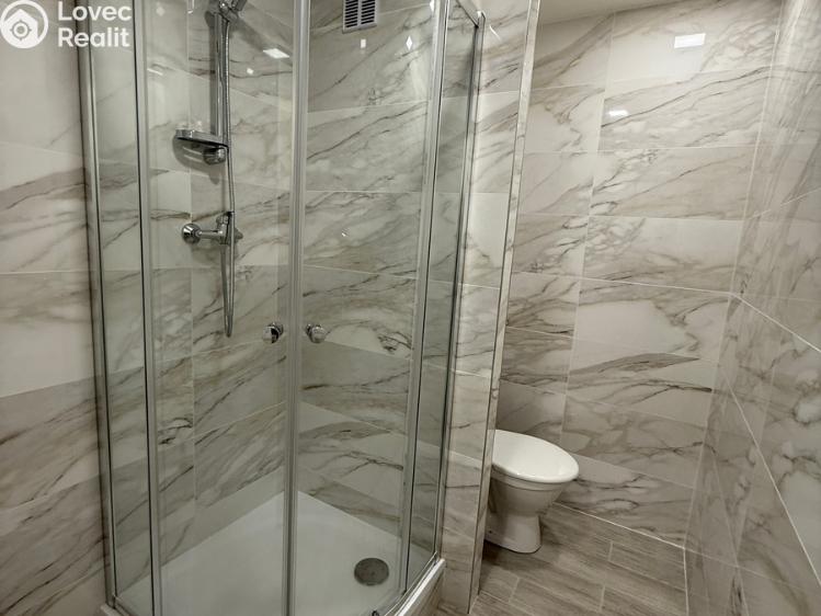 Sale apartment 1+KK Hodonín č. 2