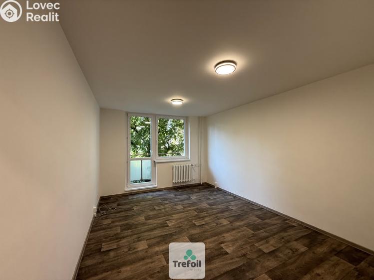 Sale apartment 1+KK Hodonín č. 3