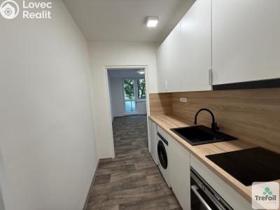 Prodej bytu 1+KK Hodonín č. 4