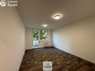 Prodej bytu 1+KK Hodonín č. 3