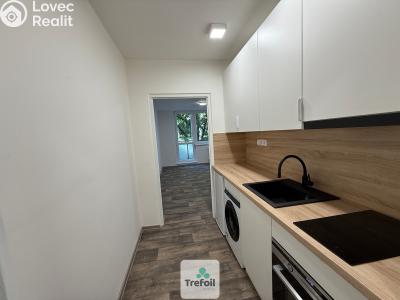 Prodej bytu 1+KK Hodonín č. 4