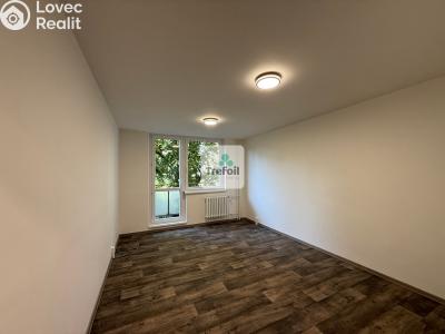 Prodej bytu 1+KK Hodonín č. 3