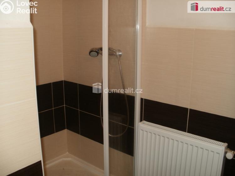 Pronájem bytu 2+1 Branky č. 3