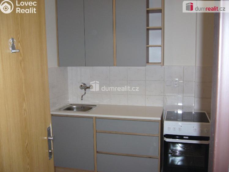 Pronájem bytu 1+1 Děčín, Litoměřická č. 1