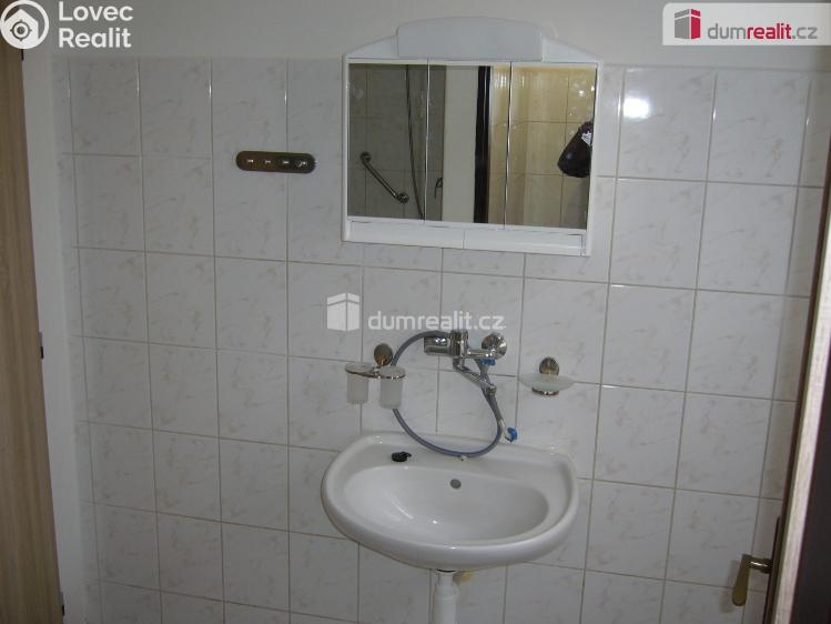 Pronájem bytu 1+1 Děčín, Litoměřická č. 4