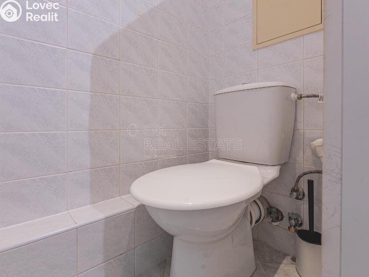 Pronájem bytu 2+1 Praha, Gdaňská 335/23 č. 7