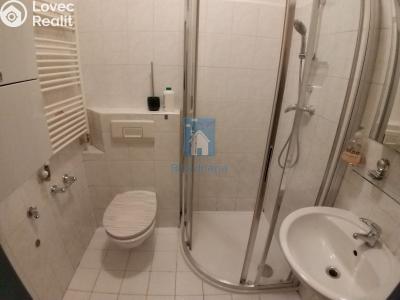 Pronájem bytu 1+1 Plzeň, Zámečnická č. 5