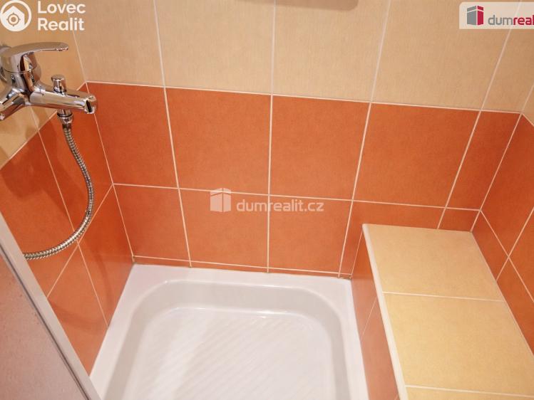 Pronájem bytu 1+KK Děčín, Želenická č. 3