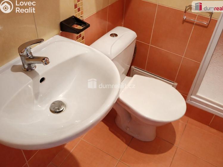 Pronájem bytu 1+KK Děčín, Želenická č. 4