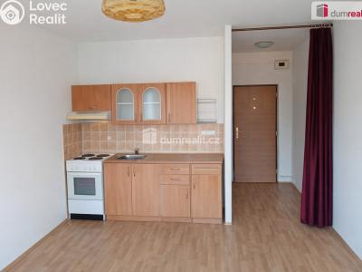 Pronájem bytu 1+KK Děčín, Želenická č. 1