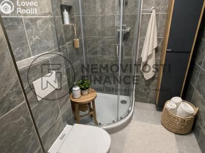 Pronájem bytu 2+1 České Budějovice, Plzeňská 2203 č. 6