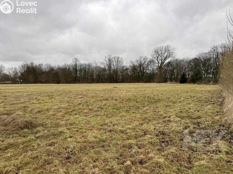 Prodej komerční nemovitosti Česká Skalice, Bezručova 59 č. 2