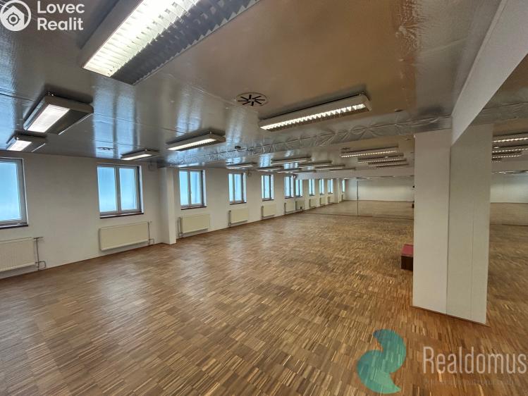 Аренда коммерческой недвижимости České Budějovice, Husova tř. 1858/43 č. 1