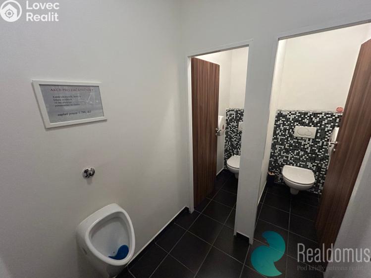 Аренда коммерческой недвижимости České Budějovice, Husova tř. 1858/43 č. 14